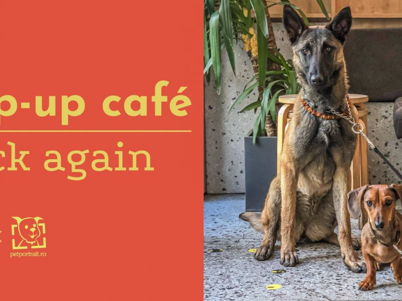 Pup-up café revine